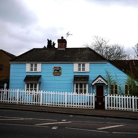 تشيجويل The Greyhound Cottage المظهر الخارجي الصورة